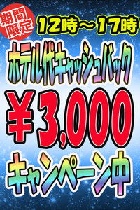 �z�e����L���b�V���o�b�N